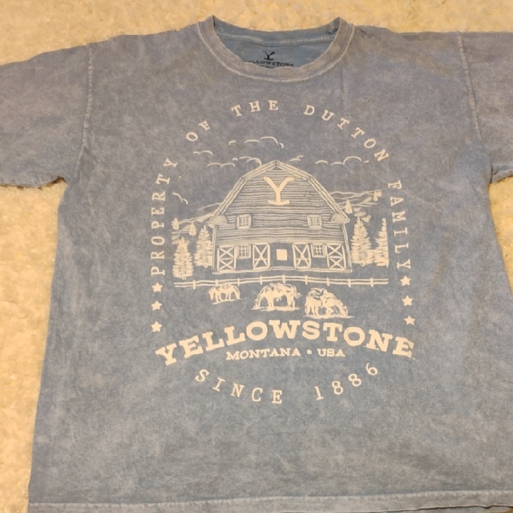 Yellowstone Men's Blue Graphic T-Shirt